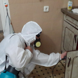 Дезинфекция от муравьев в квартире в Верхней Салде
