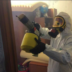 Уничтожение клопов в квартире. Верхняя Салда